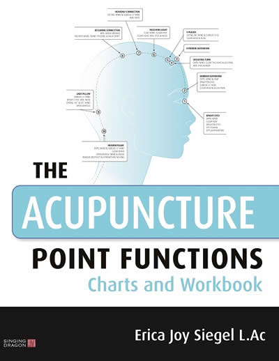 The Acupuncture Point Functions Charts and Workbook Paperback