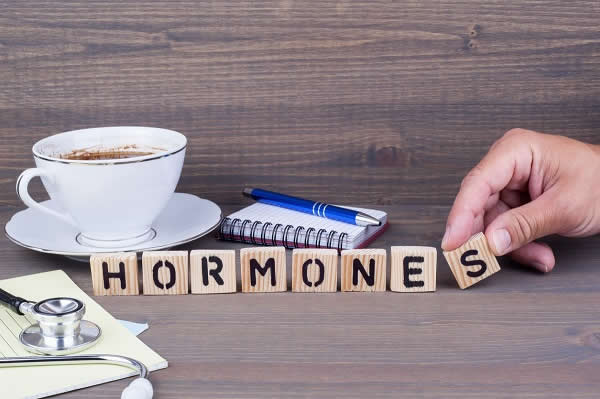 Hormones Banner