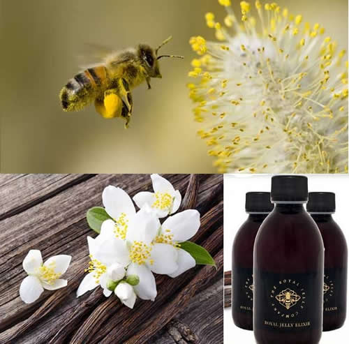 Bee Pollinators, Vanilla Extract – from Royal Jelly Elixir