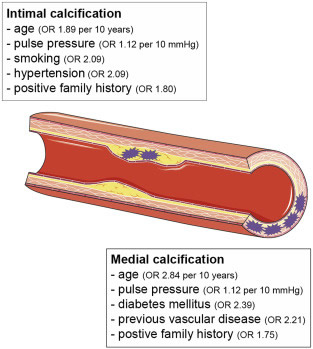 Figure 1: From Vos A et al[6]