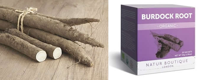 Burdock Root + Burdock Root Tea