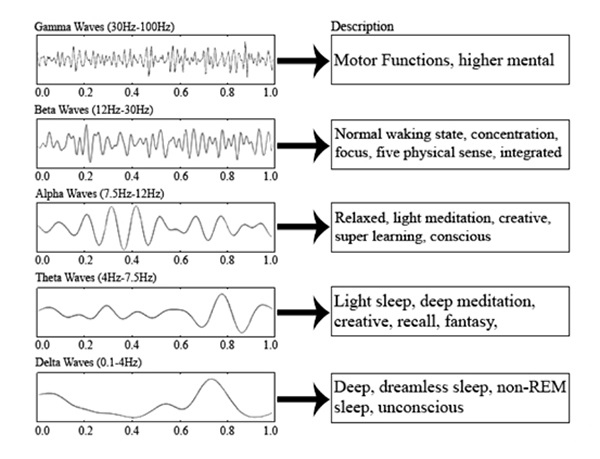 Brain Wave Chart Amended