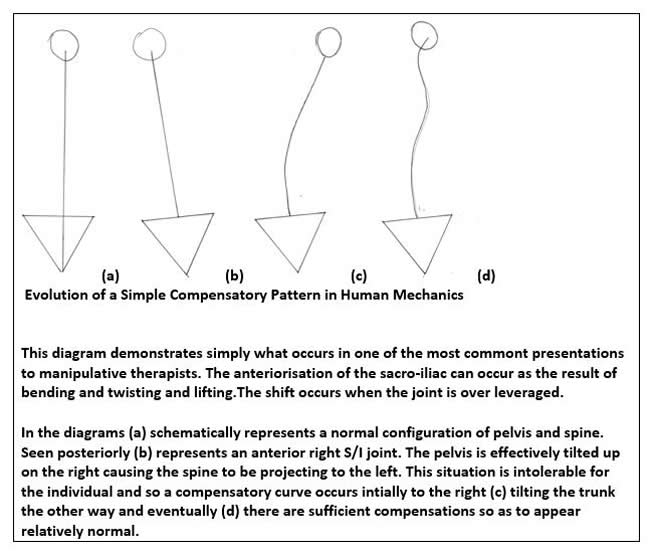 Figure 1 Evolution of a Simple Compensatory Mechanism