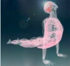 Skeletal Body Yoga Stretch