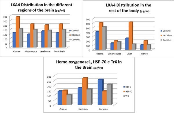 LXA4 in Brain + LXA4 in Body +Heme-oxygenase