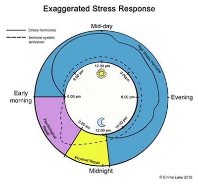 Exaggerated Stress Response