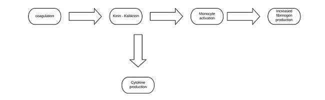 Loop diagram