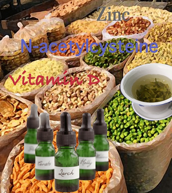 Nidamboor 266 Vitamins and Minerals
