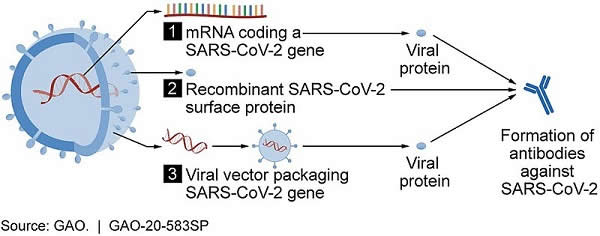 Vaccine_candidate_mechanisms_for_SARS-CoV-2