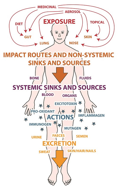 Book Figure 4