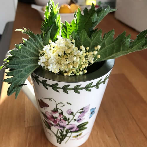 Hayfever relief elderflower and nettle tea