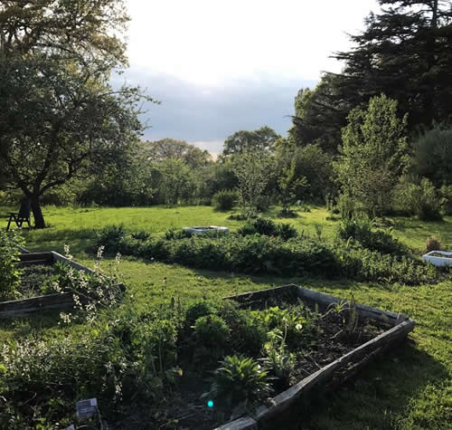 The apothecary garden in spring