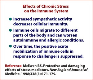 Effects of Chronic Stress on the Immune System