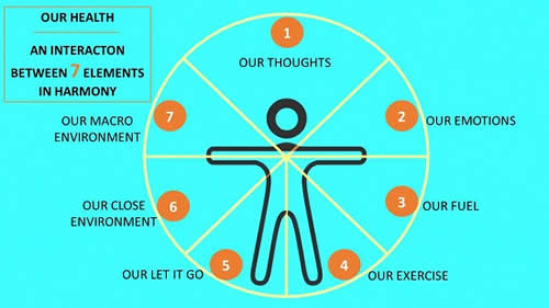 Our Health An Interaction between 7 Elements in Harmony