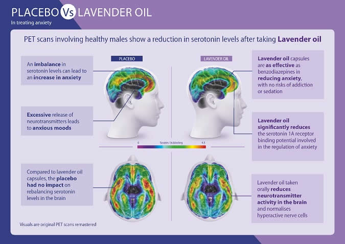 Placebo vs Lavender Oil