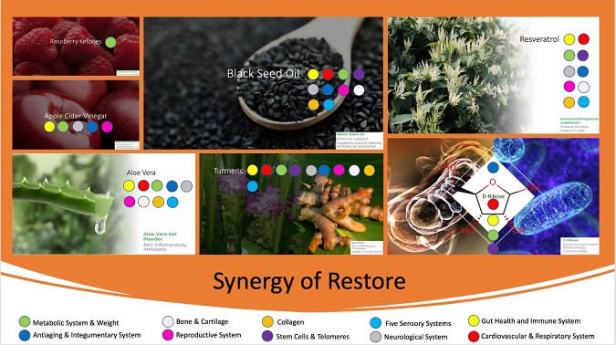 Synergy of Restore