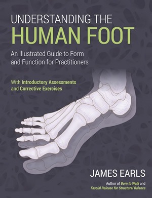 Understanding the Human Foot – An Illustrated Guide to Form and Function for Practitioners