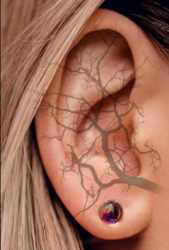 Vagus nerve EAR
