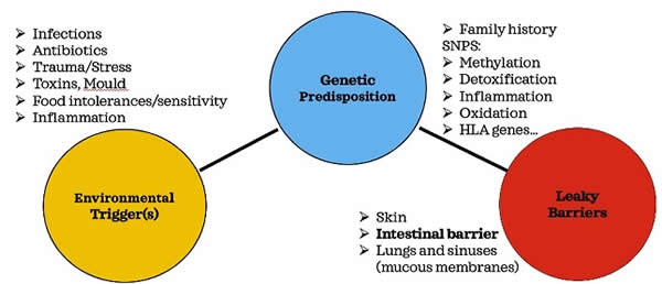 genetic-trifactor