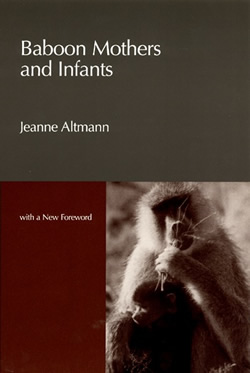 Altmann Baboon Mothers and Infants