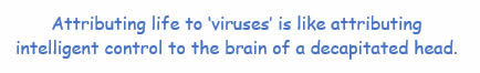 Attributing life to 'viruses' is like