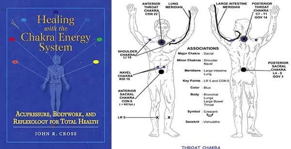 Cover Healing with the Chakra Energy System + Throat Chakra