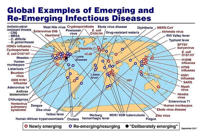 Global_Examples_of_Emerging_and_Re-Emerging_Infectious_Diseases