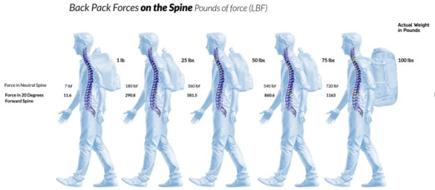 BackPack Forces on the Spine