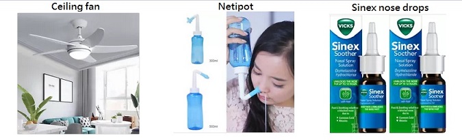 Fan + Neti + Sinex