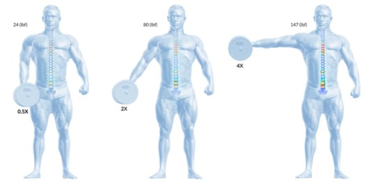 Lifting Forces on the Spine