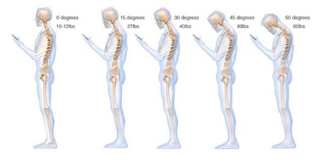 Text Neck Forces on the Spine