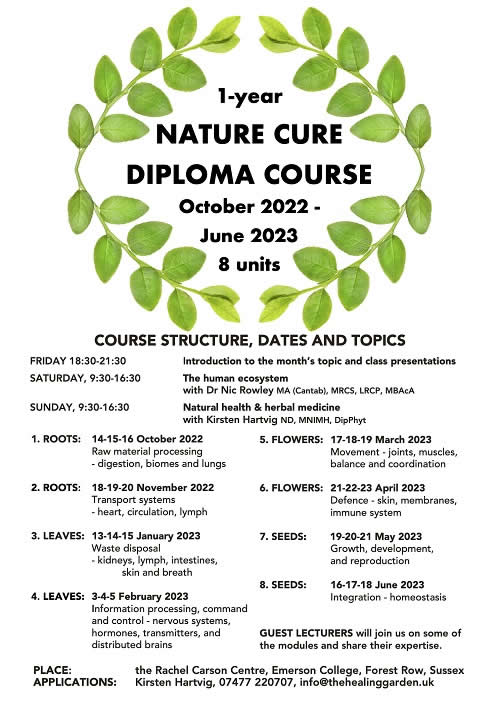 diploma course poster