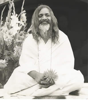 Maharishi