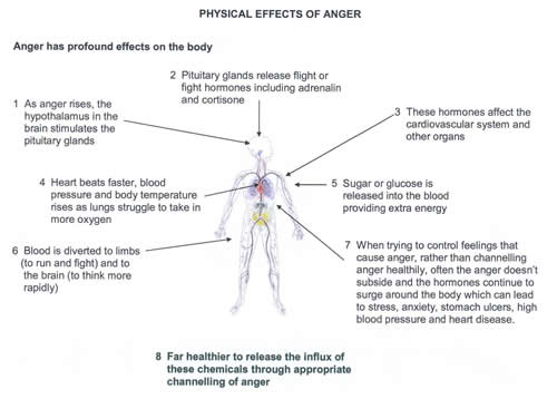 Physical effects of anger