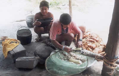 An Aboriginal family prepare food together in a culture where the men prepare the soil and the women plant and gather the harvest. This division of labour demonstrates the role of community values in how the preparation and sharing of food is a central theme to their activities.