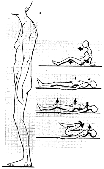 Standing and prone positions