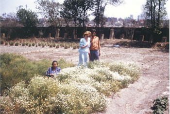 Jolanta Basnyet 'supervising' the harvest of Nepalese Chamomile in the field of the processing unit in Kathmandu, Nepal