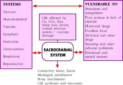 Fig 2 (above) Interactivity and Interdependance of the systems of the body and some threats to their functioning ability