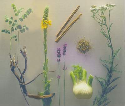 Herbal images