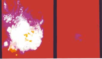 Figure 1 Kirlian photograph of Muesli Energy (left) and Cornflake Energy (right)