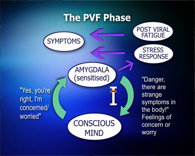 The PVF Phase