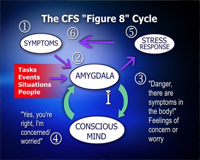 The CFS Figure 8 Cycle