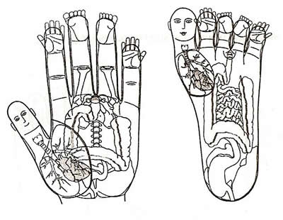 Yin Hand and Foot