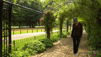 walking in Hyde Park