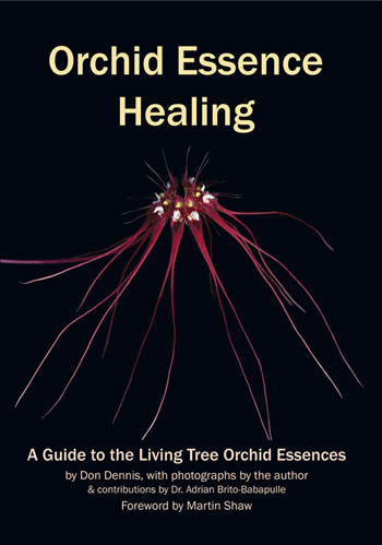 Orchid Essence Healing: A Guide to the Living Tree Orchid Essences