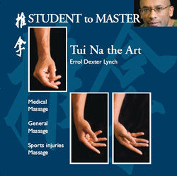 New DVD:  Tui Na Student to Master