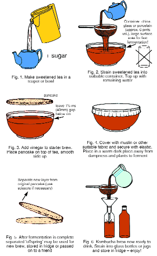 Komucha tea process