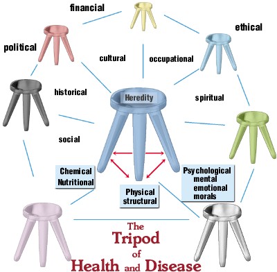 Joseph Goodman's Tripod of Health and Disease