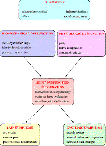 Figure 2 Chiropractic Theoretical Model