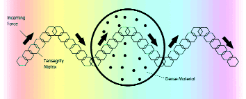 Figure 4: Force Transmission Through a Dense Matrix